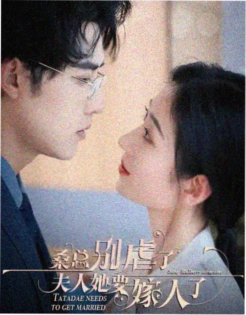 高清电视剧-2026年度期待